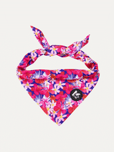 Dog Bandana - Tropical Bloom Rush