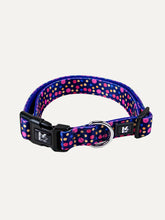 Dog Collar - Midnight Tropical Pop