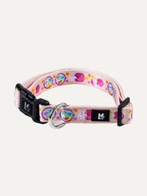 Dog Collar - Summer Sweet Carnival