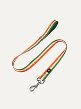 Dog Leash - Festive Stripe Sparkle