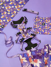 バイオレットバタフライウィスパーズコンボ