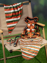 Festive Stripe Sparkle Combo