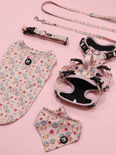 Summer Sweet Carnival Combo