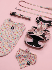 Summer Sweet Carnival Combo