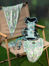 Mushroom Dream Combo