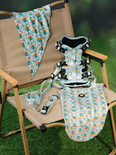 サニービーチピクニックコンボ