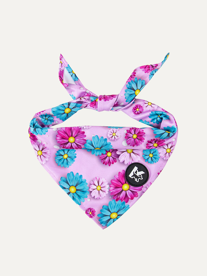 Dog Bandana - Candy Daisy Parade