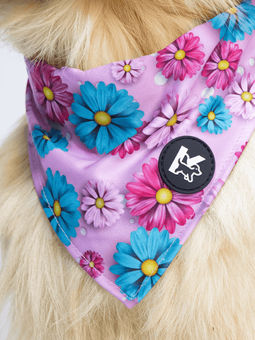 Dog Bandana - Candy Daisy Parade