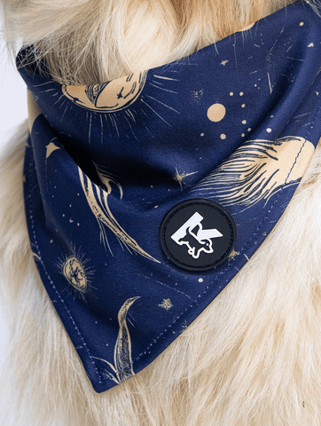 Dog Bandana - Celestial Night Luxe