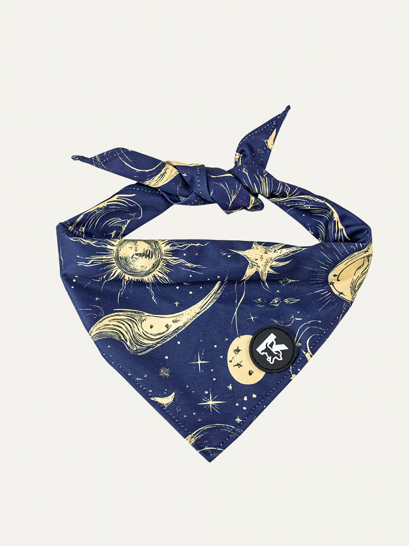 Dog Bandana - Celestial Night Luxe
