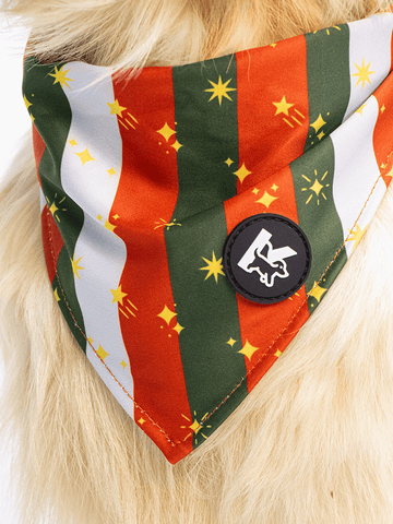 Dog Bandana - Festive Stripe Sparkle