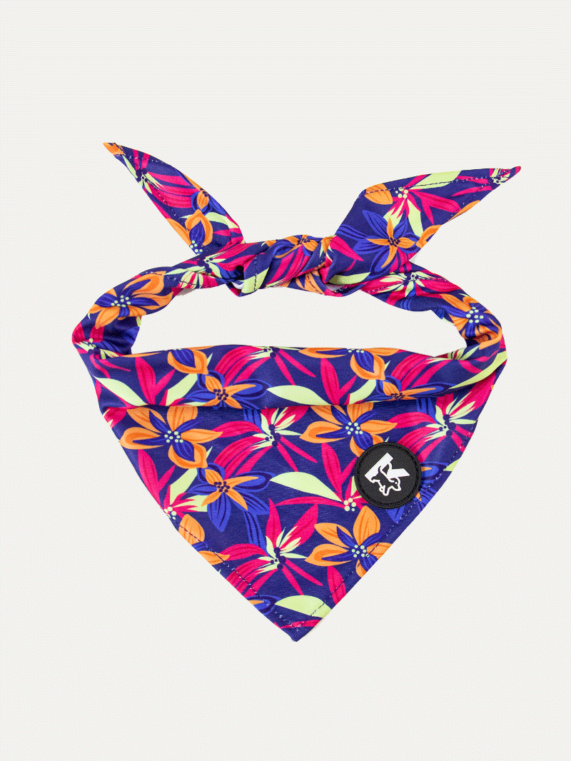 Dog Bandana - Midnight Tropical Pop