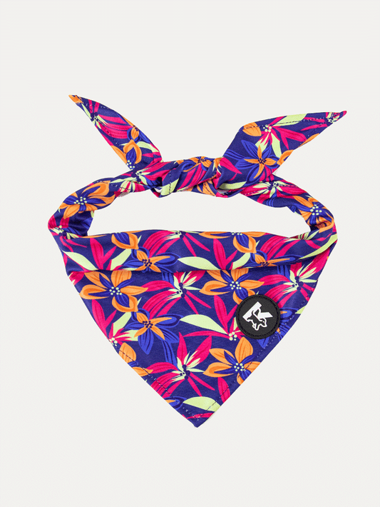 Dog Bandana - Midnight Tropical Pop