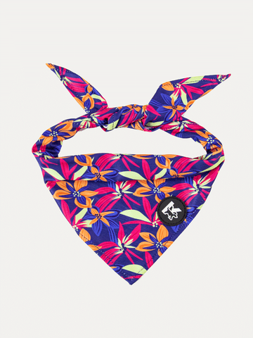 Dog Bandana - Midnight Tropical Pop