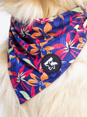 Dog Bandana - Midnight Tropical Pop