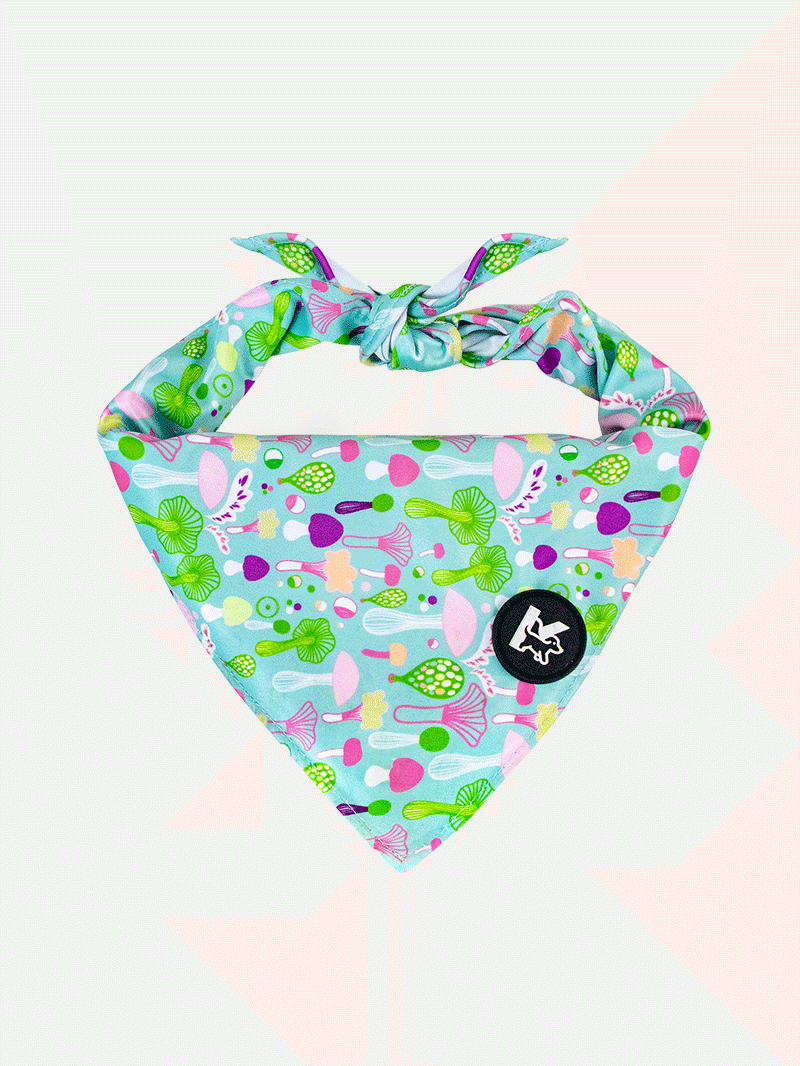 Dog Bandana - Mushroom Dream