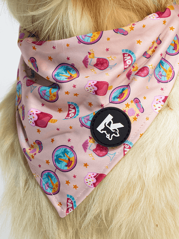 Dog Bandana - Summer Sweet Carnival