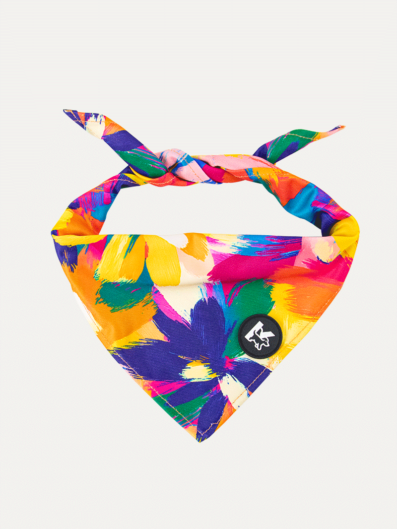 Dog Bandana - Sunset Floral Splash