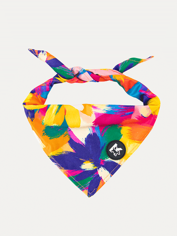 Dog Bandana - Sunset Floral Splash