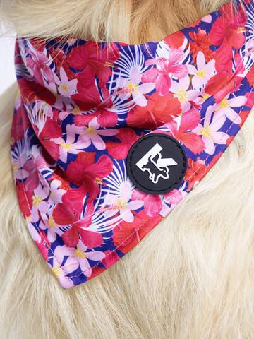 Dog Bandana - Tropical Bloom Rush