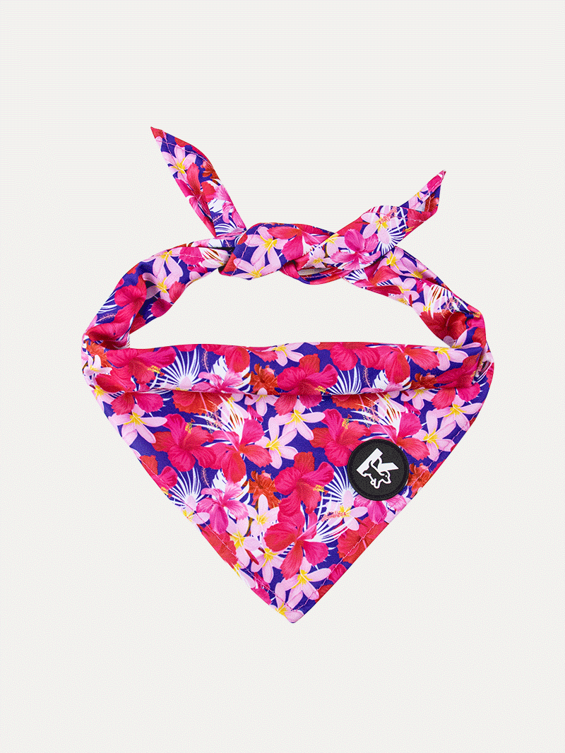 Dog Bandana - Tropical Bloom Rush