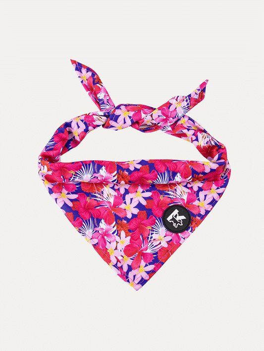 Dog Bandana - Tropical Bloom Rush