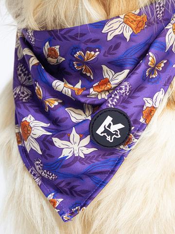 Dog Bandana - Violet Butterfly Whispers
