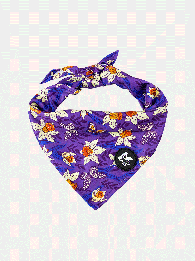 Dog Bandana - Violet Butterfly Whispers