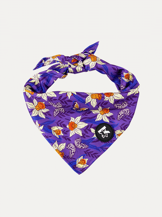 Dog Bandana - Violet Butterfly Whispers