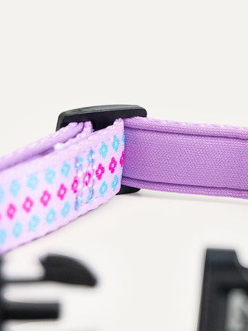 Dog Collar - Candy Daisy Parade