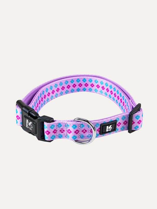 Dog Collar - Candy Daisy Parade