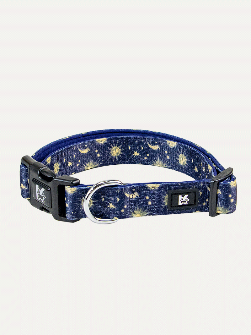 Dog Collar - Celestial Night Luxe