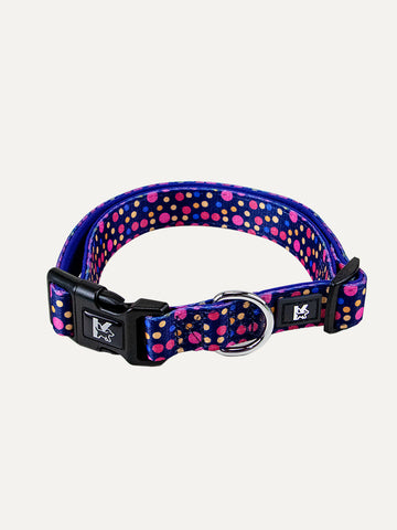 Dog Collar - Midnight Tropical Pop