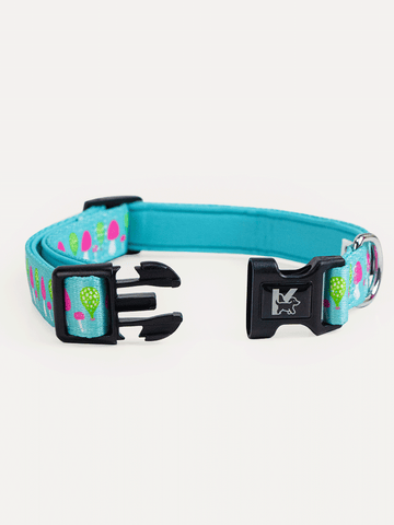 Dog Collar - Mushroom Dream