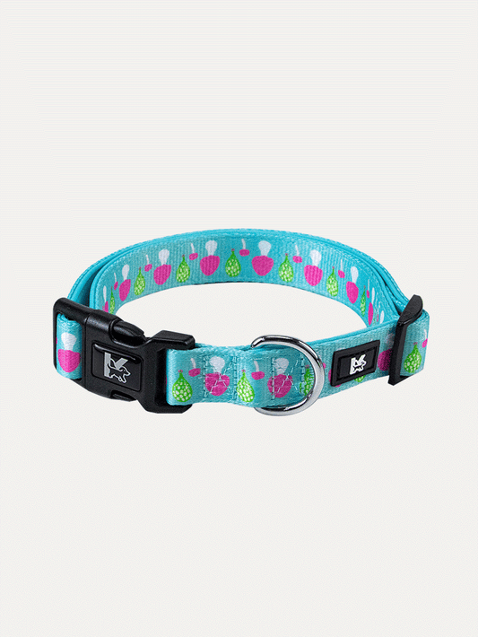 Dog Collar - Mushroom Dream