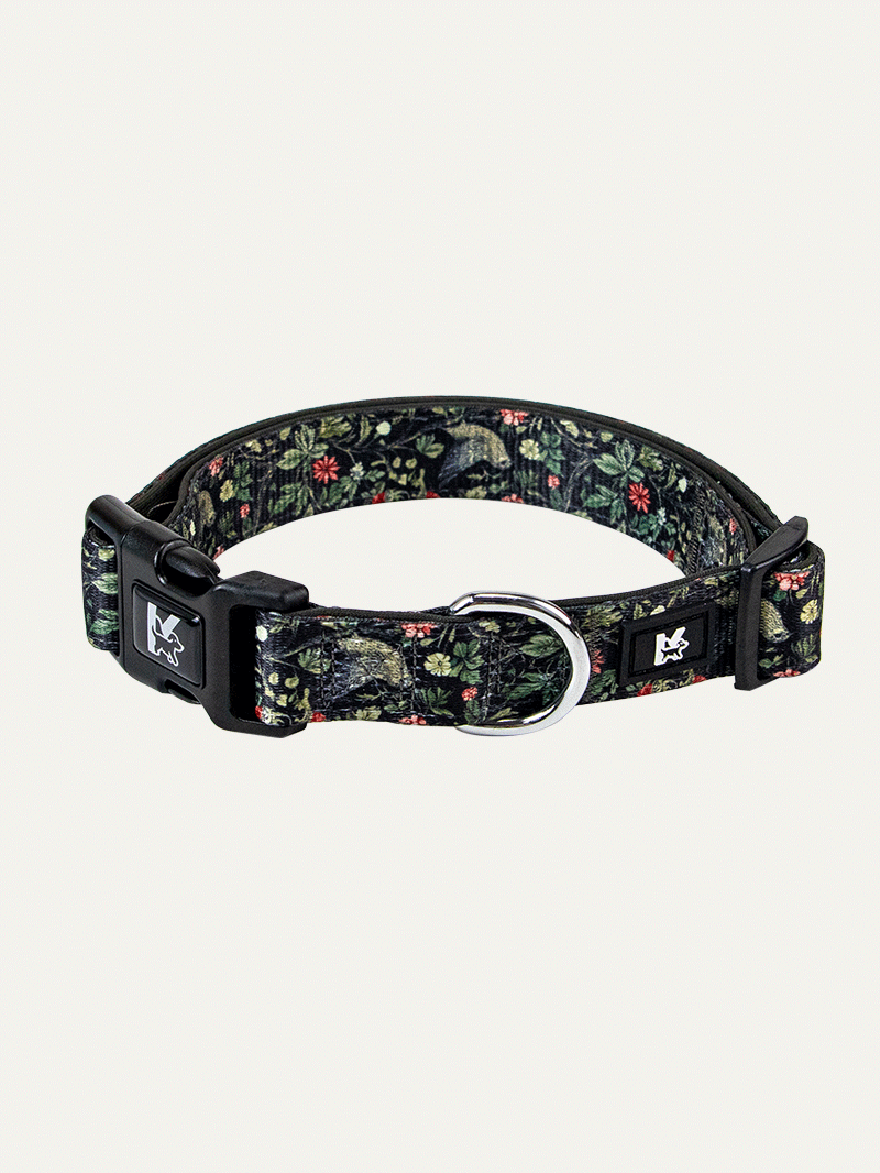 Dog Collar - Mystic Garden Tapestry