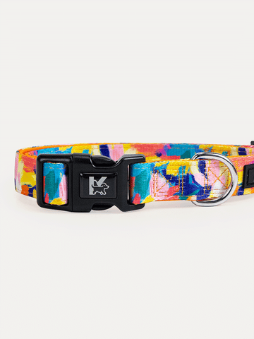 Dog Collar - Sunset Floral Splash