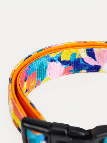 Dog Collar - Sunset Floral Splash
