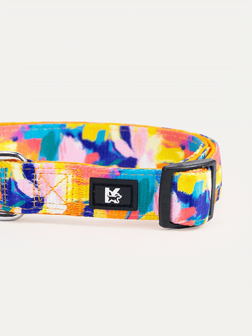 Dog Collar - Sunset Floral Splash