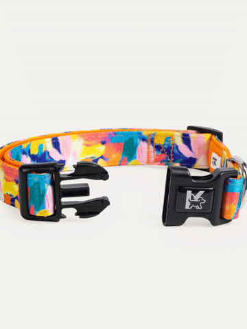 Dog Collar - Sunset Floral Splash