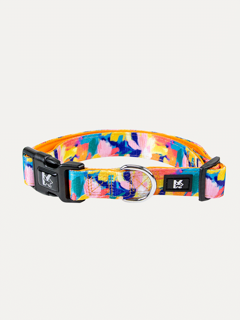 Dog Collar - Sunset Floral Splash