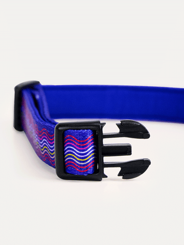 Dog Collar - Tropical Bloom Rush