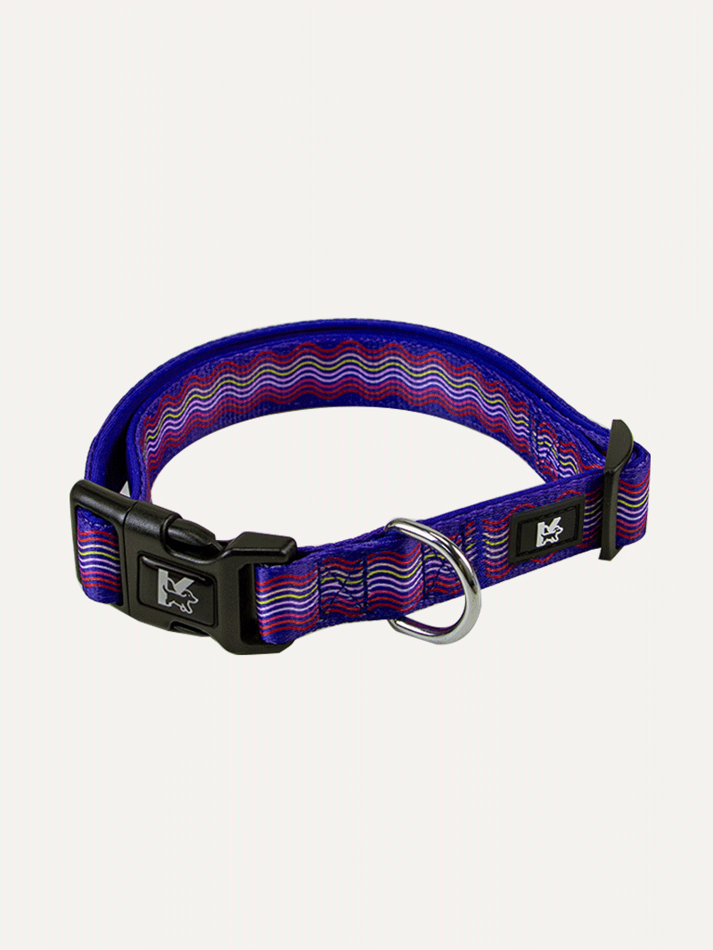 Dog Collar - Tropical Bloom Rush