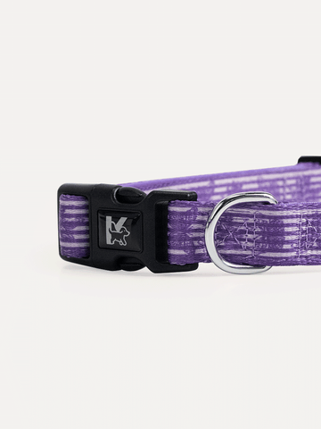 Dog Collar - Violet Butterfly Whispers