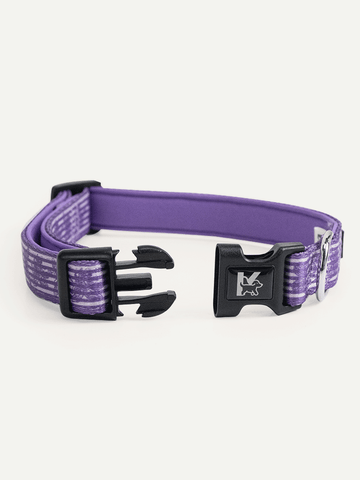 Dog Collar - Violet Butterfly Whispers