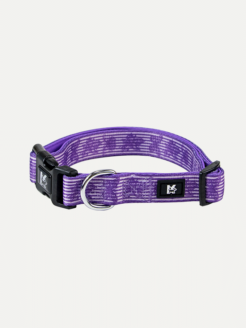 Dog Collar - Violet Butterfly Whispers