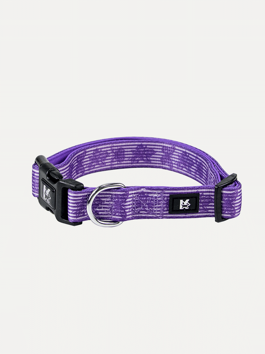Dog Collar - Violet Butterfly Whispers