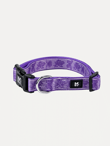 Dog Collar - Violet Butterfly Whispers
