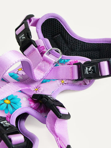 Full Coverage Dog Harness - Candy Daisy Parade