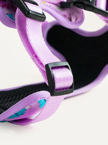 Full Coverage Dog Harness - Candy Daisy Parade
